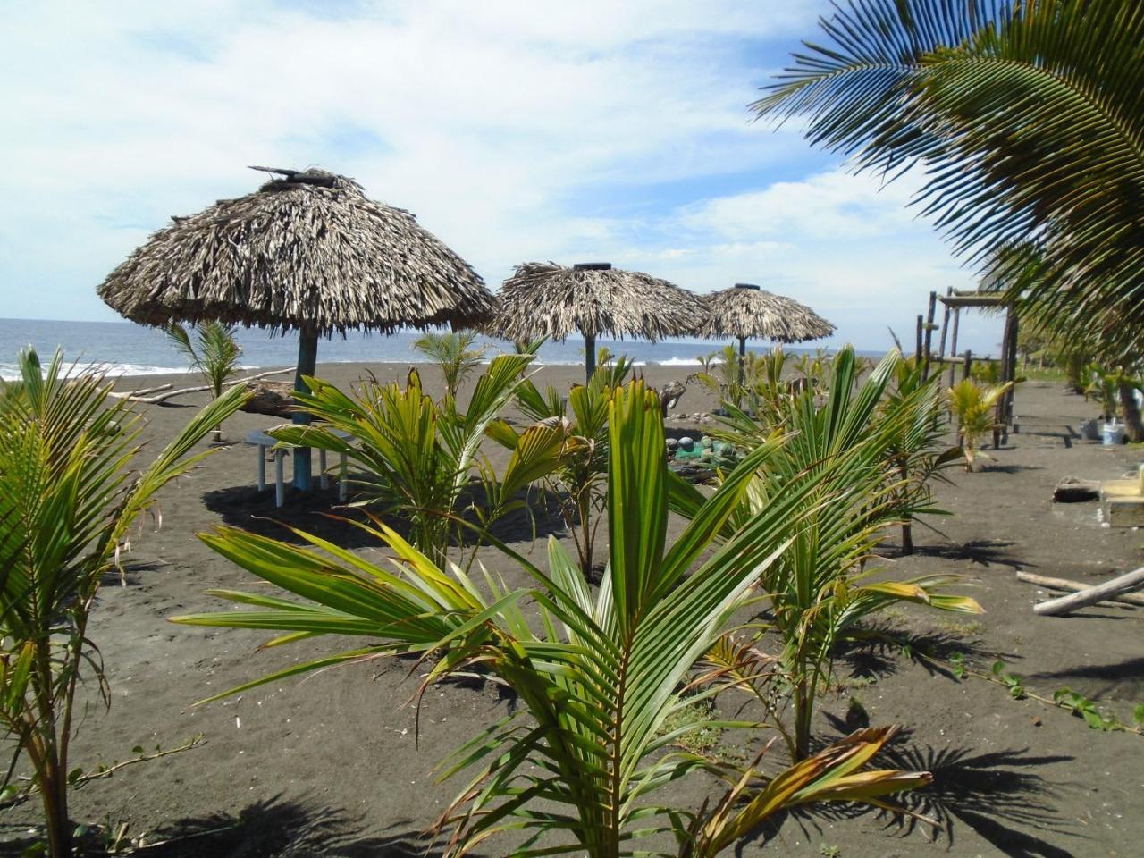 Marbella Eco Lodge Монтерико Екстериор снимка